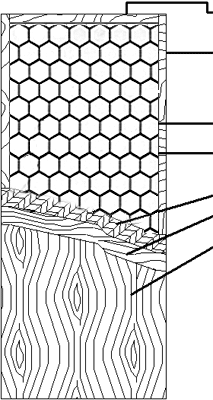 Wood Door
