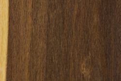 Lancewood, Shirley’s