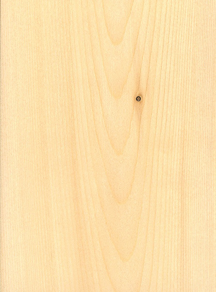 Cedar, Alaskan yellow
