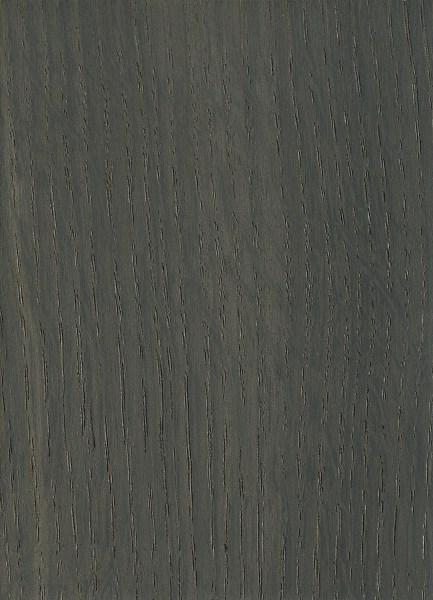 Oak, bog