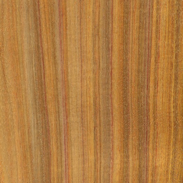 Canarywood