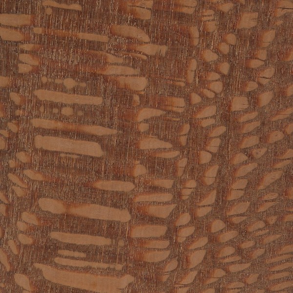 Leopardwood
