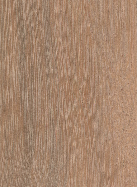 Mora