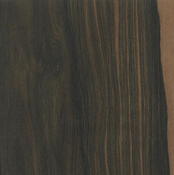 Ebony, mun