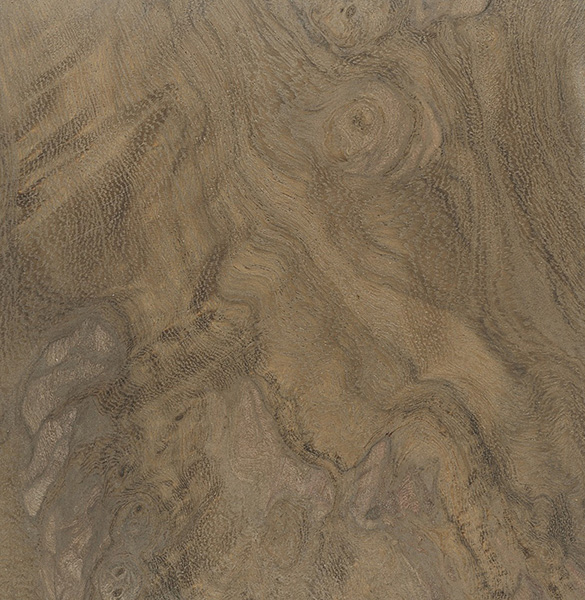 Nargusta