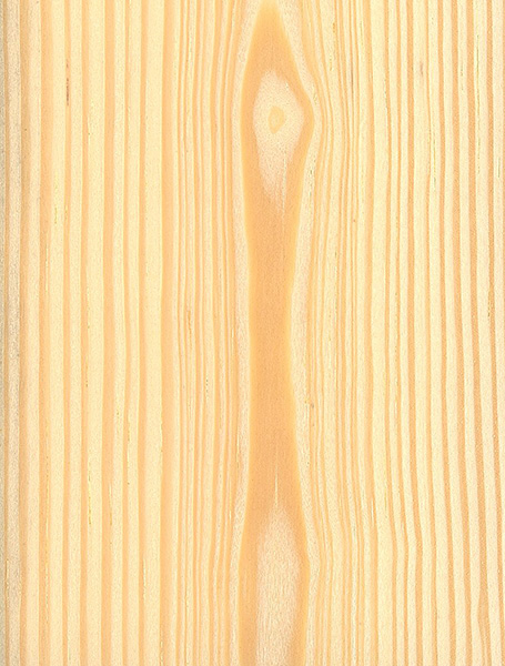 Pine, Khasi