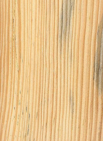 Pine, slash