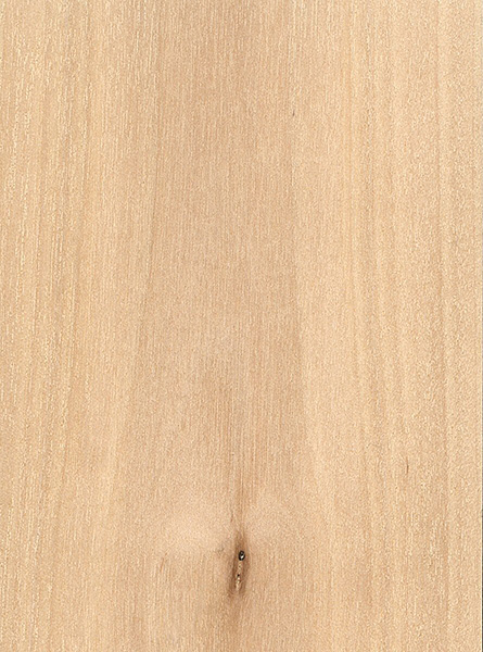 Birch, sweet